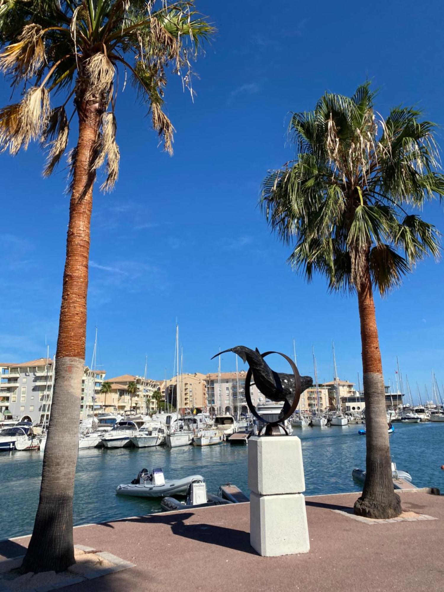 Chez Virginie : Appartement Lumineux Au Calme. Fréjus Exterior foto